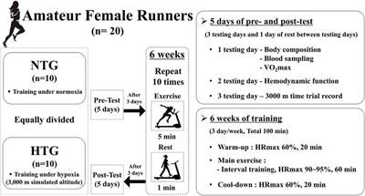 Effects of Interval Training Under Hypoxia on Hematological Parameters, Hemodynamic Function, and Endurance Exercise Performance in Amateur Female Runners in Korea